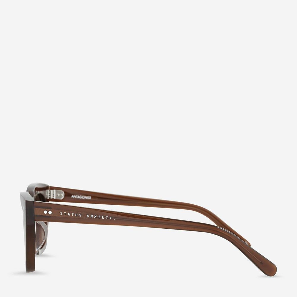 Women Status Anxiety Brown Antagonist Sunglasses - Brown Sunglasses - Image 3